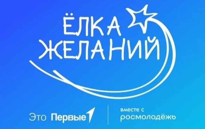 Сотрудники вневедомственной охраны Ишимбая исполнили новогоднюю мечту особенного ребенка в рамках проекта Елка Желаний