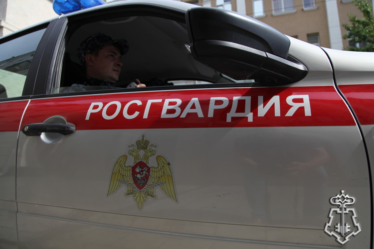 Росгвардейцы задержали подозреваемого в хищении интернет-кабеля  